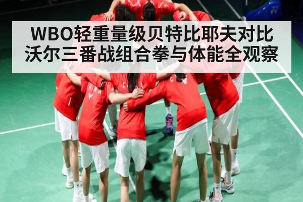 WBO轻重量级贝特比耶夫对比沃尔三番战组合拳与体能全观察